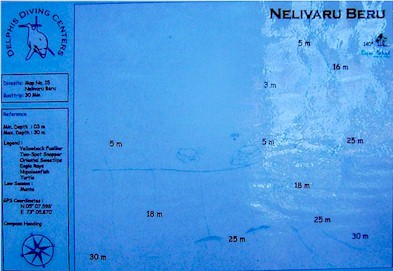 Nelivaru Beru